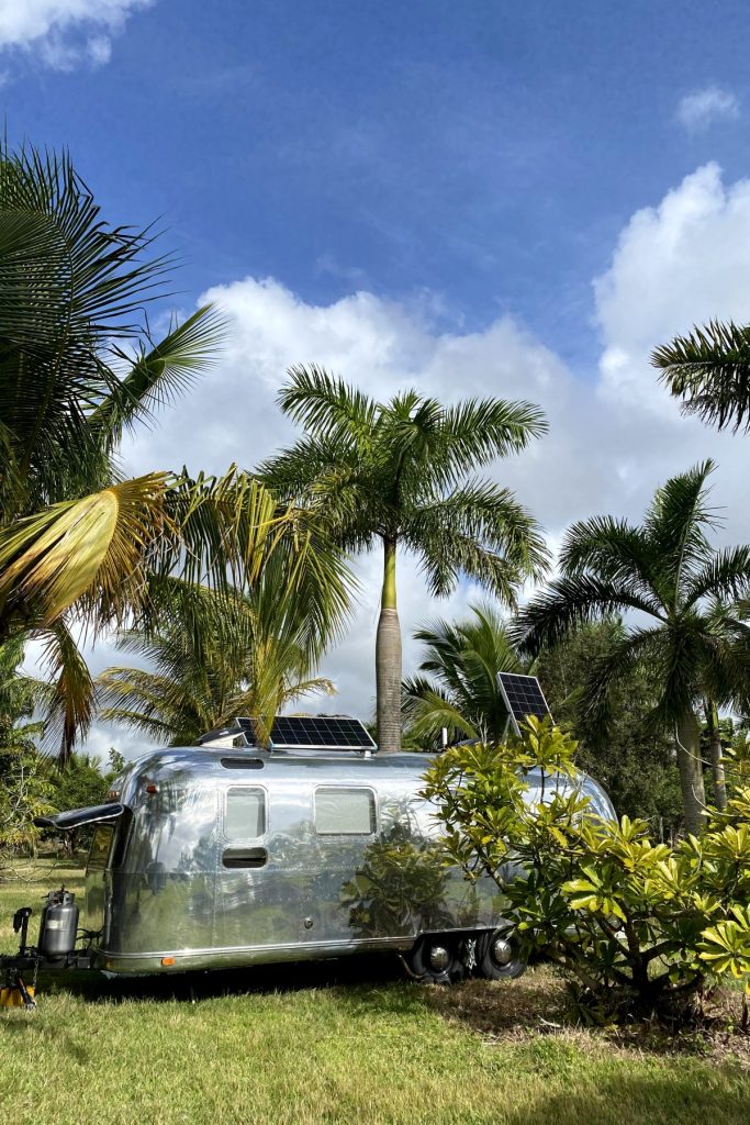 vintage airstream with Florida palm trees